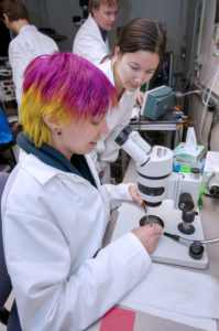 Irene Grossrubatscher working at a microscope in a lab, wearing a lab coat. Three other people in lab coats are working in the background.