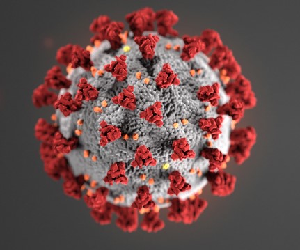 A coronavirus, shown as a gray ball covered with protruding red triangles.