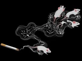 Secret behind ‘nic-sickness’ could help break tobacco addiction